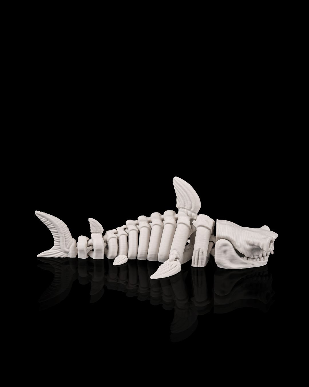 Skelett-Hai Detailansicht – beweglicher 3D-Druck Fisch