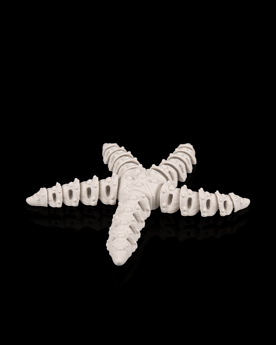 Skelett-Seestern in Schwarz – Gothic Tiefsee Fantasy 3D-Druck