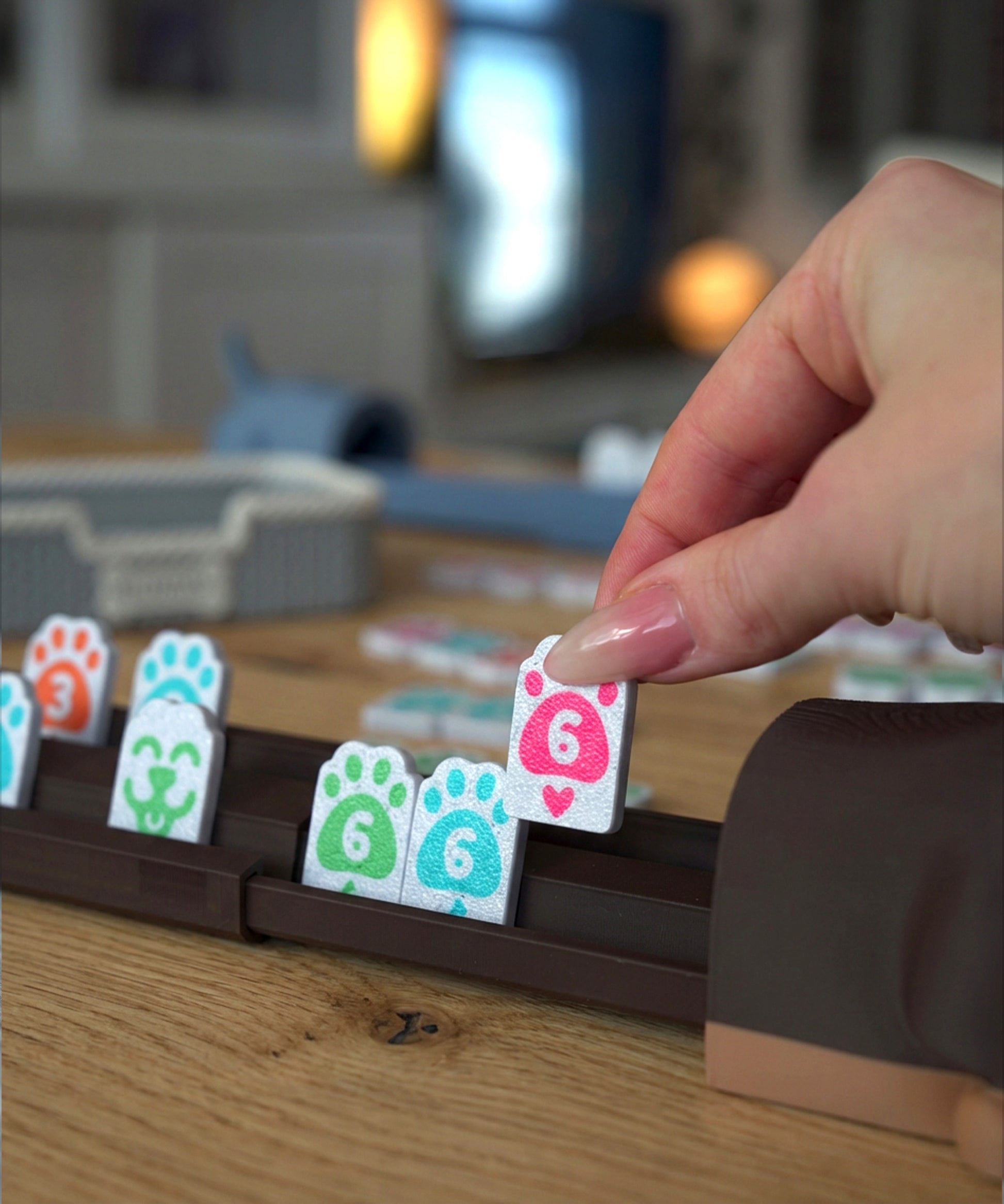 Rummy-Pup Spiel für 2 Personen aufgebaut – 3D-Druck PrintDuck