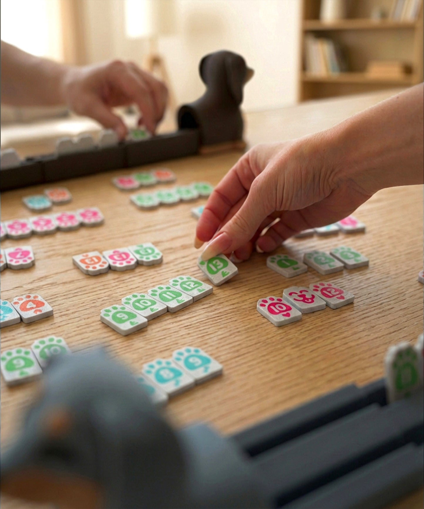 Rummy-Pup Spielaufbau Übersicht – komplettes Spielset