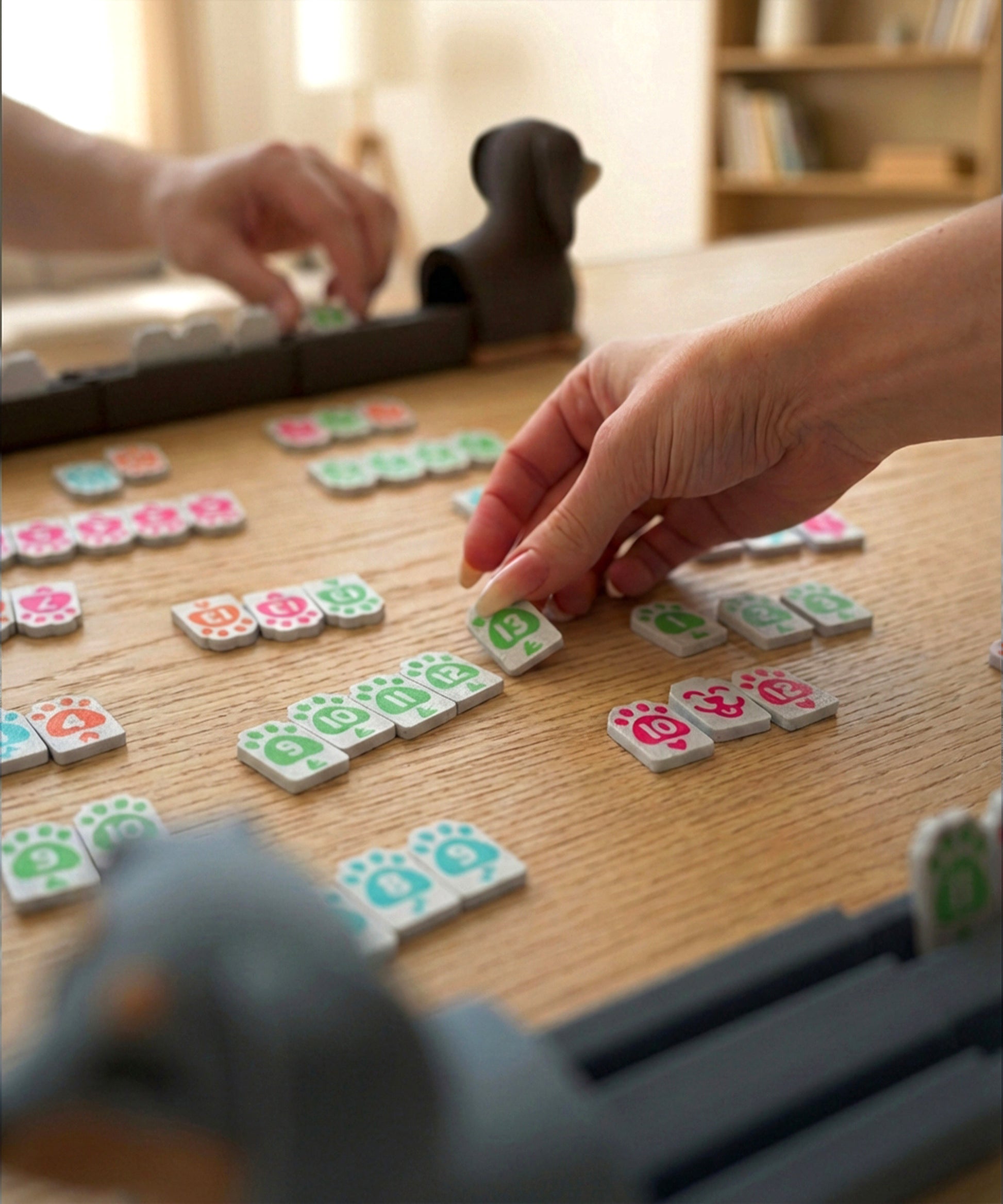 Rummy-Pup Spielaufbau Übersicht – komplettes Spielset
